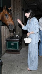 Alexandra Daddario in a Pinstriped Pantsuit