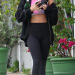 Dakota Johnson in a Pink Top Headed to the Gym in Malibu 11/12/2025