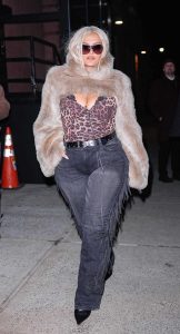 Bebe Rexha in an Animal Print Top