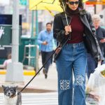Nina Dobrev in a Black Leather Jacket Walks Her Dog in New York 04/04/2026