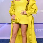 Natalie Alyn Lind Attends the 52nd American Music Awards at MGM Grand Garden Arena in Las Vegas 05/25/2026