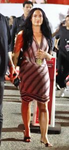 Demi Lovato in a Brown Striped Dress
