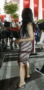 Demi Lovato in a Brown Striped Dress