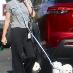 Lucy Hale in a Grey Tee Walking Her Dogs in Studio City 07/10/2026