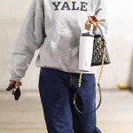 Jessica Alba in a Grey Sweatshirt Out for a Shopping with Her Son in Century City 08/27/2026
