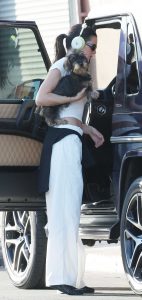 Kendall Jenner in a White Cropped Tee