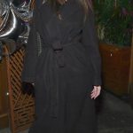 Emily Ratajkowski Attends WYouth Celebration with Park Hyatt at Thai Diner in New York City 10/26/2026